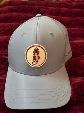 Rock the hud D, Hudson Light Blue/lavender Baseball golf hat with pickle Patch